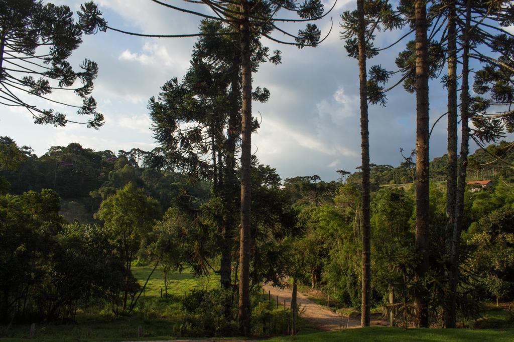 فندق Espaco Recanto Do Pico Santo Antônio do Pinhal المظهر الخارجي الصورة